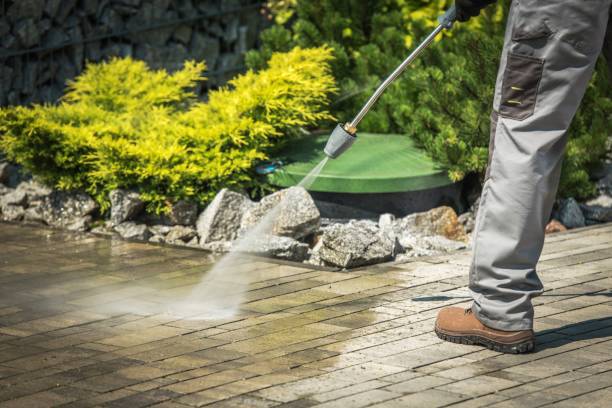 Best Driveway Pressure Washing  in Humansville, MO